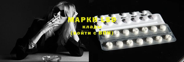 прущие грибы Алзамай