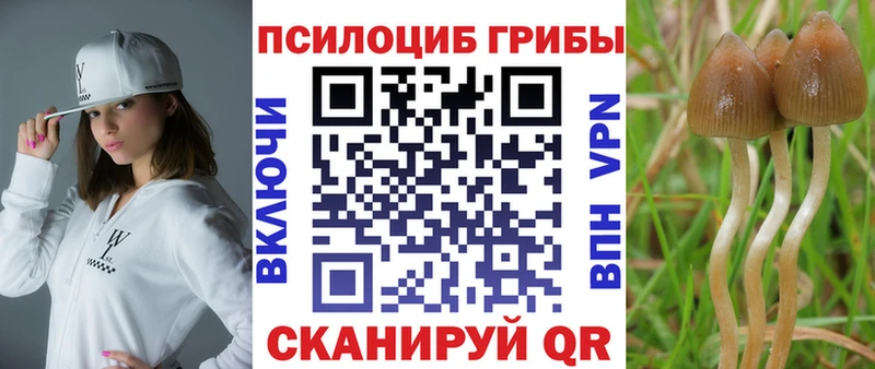 Псилоцибиновые грибы мухоморы  Белореченск 